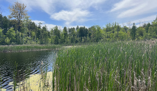 Image of park on river located in Newburg, WI in Summer